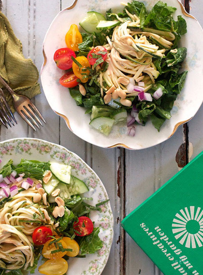 ZucchiniNoodlesWithPeanutSauce